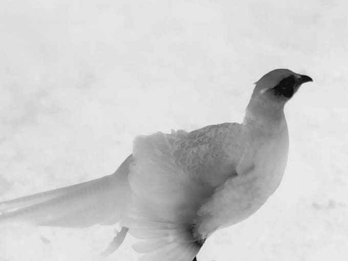 IRI_20230207_055624